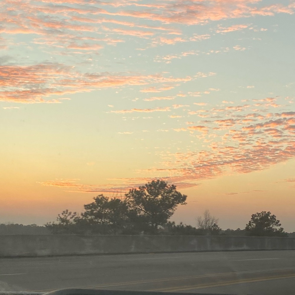 Unlisted Clothing item TOP